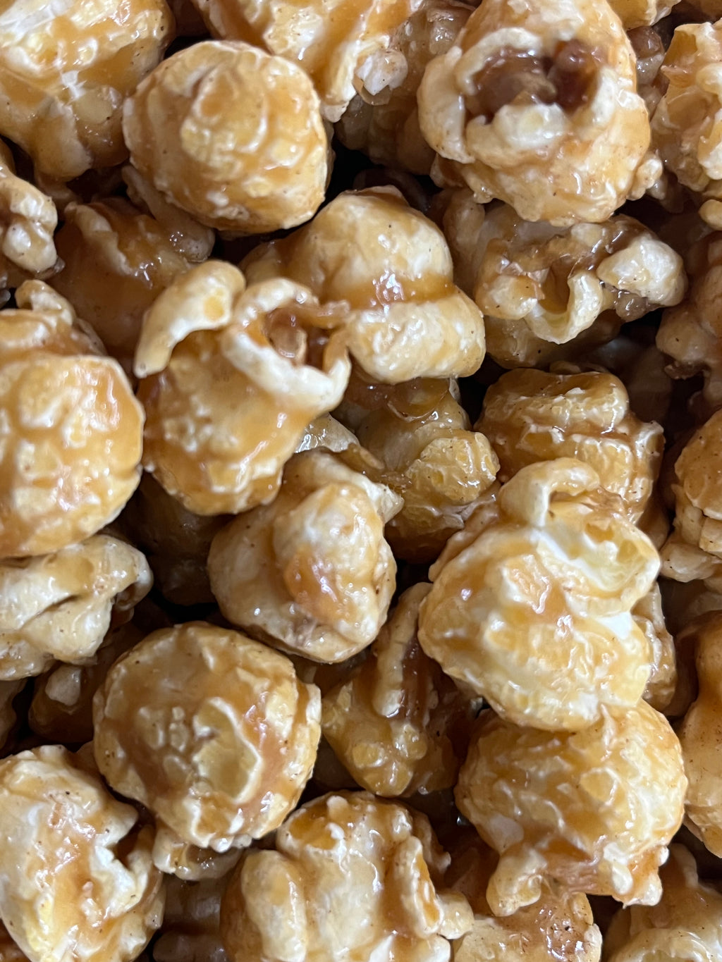 Apple Cider Caramel - Heat Seal Bag